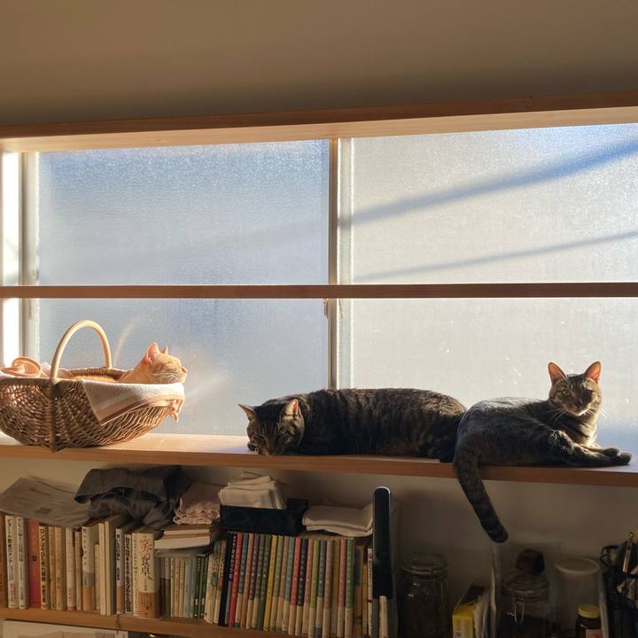 Fb6c4277 b2f6 40c1 ab5a cf2a78770b6d 1704714815620