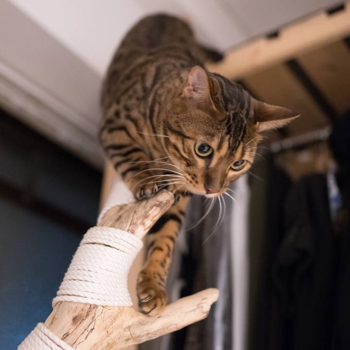 Fb6c7c31 2216 4646 961c 6fe94d1b0986 1519920902222