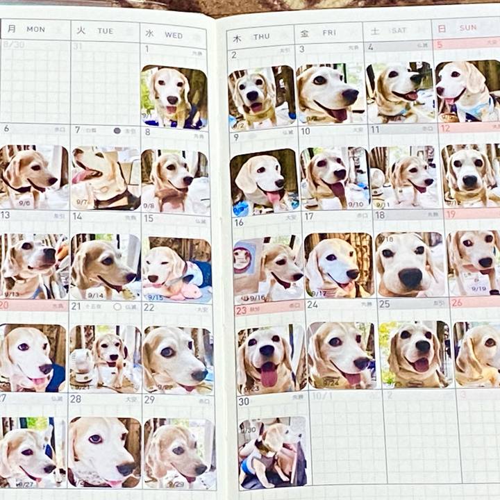 Fb6cb270 c317 4934 b86e 8cefd9a276ab 1634479768740