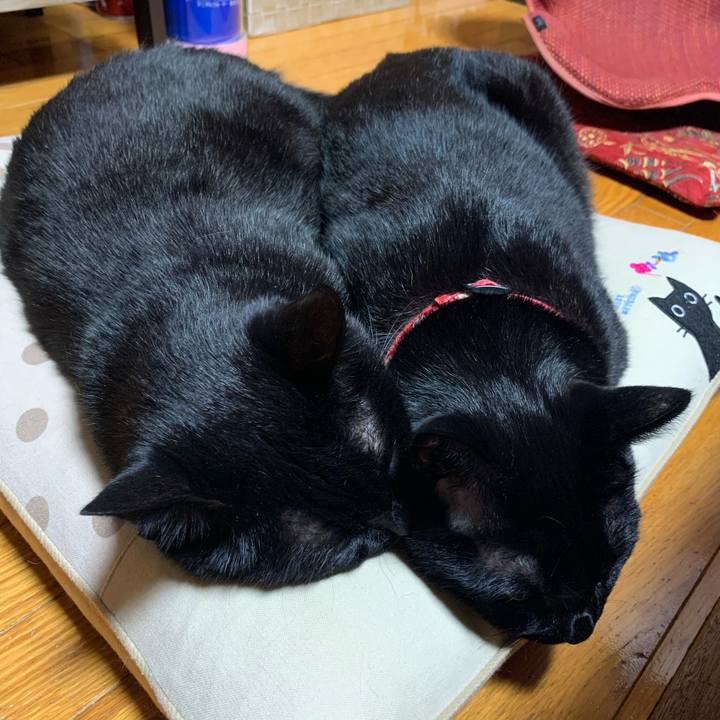 Fb6ce595 bf7a 4eb4 ad86 1c15bb62e3f9 1597672724580