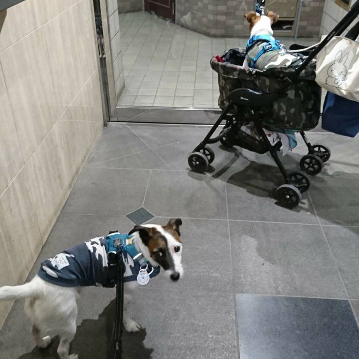 Fb6d1127 8371 45c1 8d94 2211fa8efe93 1570366389366