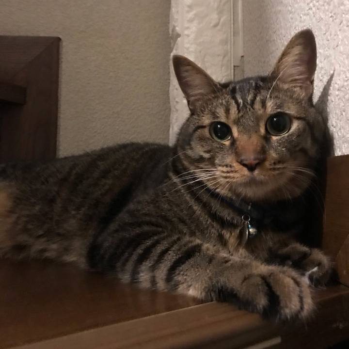 Fb6d16ab d2db 4fe2 a2dd 5eb8ce0ed657 1568912130115