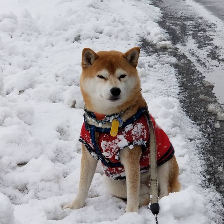 Fb6d4898 5633 46af a5ec 85eaccd32abf 1544764906057