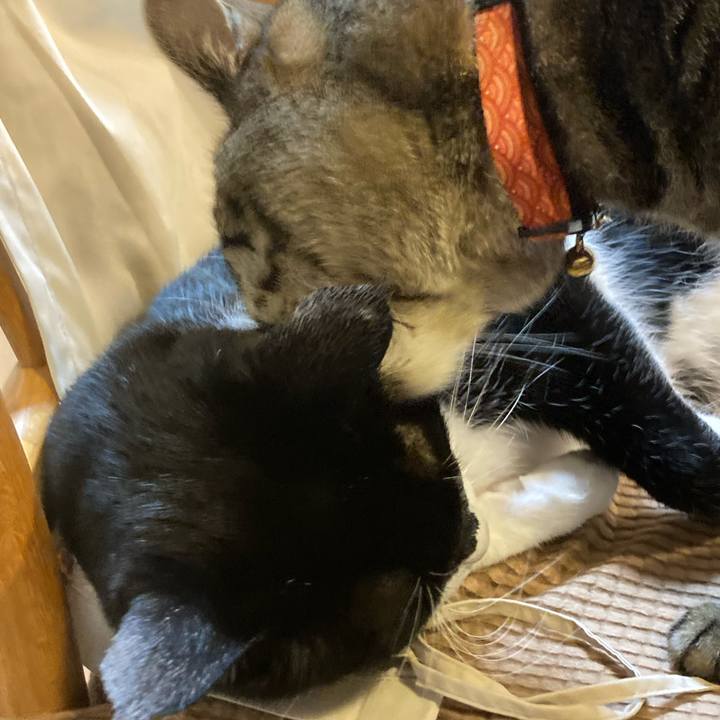 Fb6d5539 236f 4d2f b34d 76aca1cf2fed 1718624483930