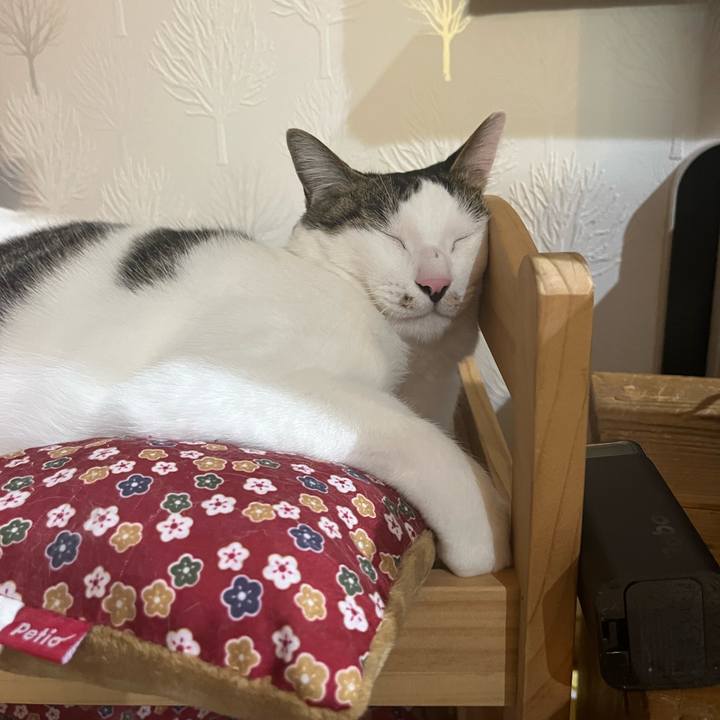 Fb6d6507 dd18 4341 9067 f5946c03c8e6 1704203155421