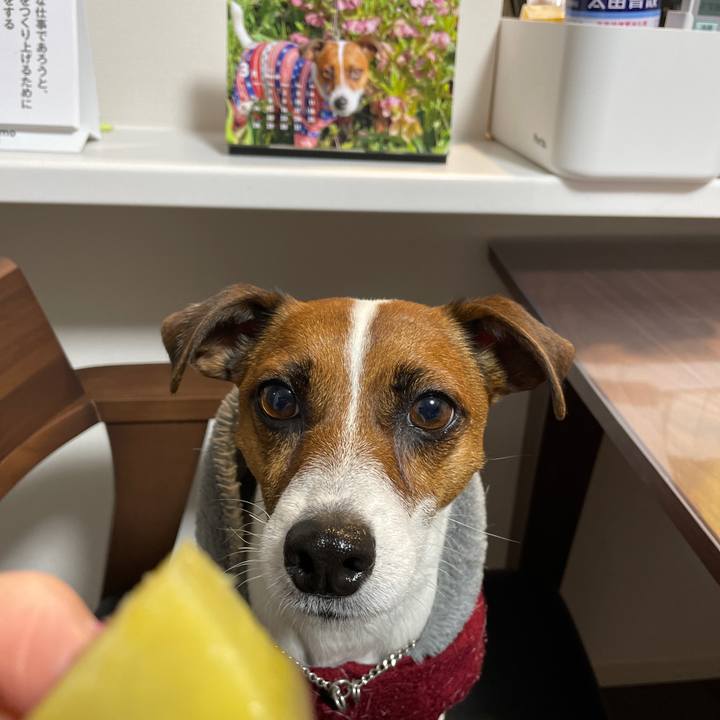 Fb6d88ae 8252 4085 86e7 705a7eba9d3c 1646126613161