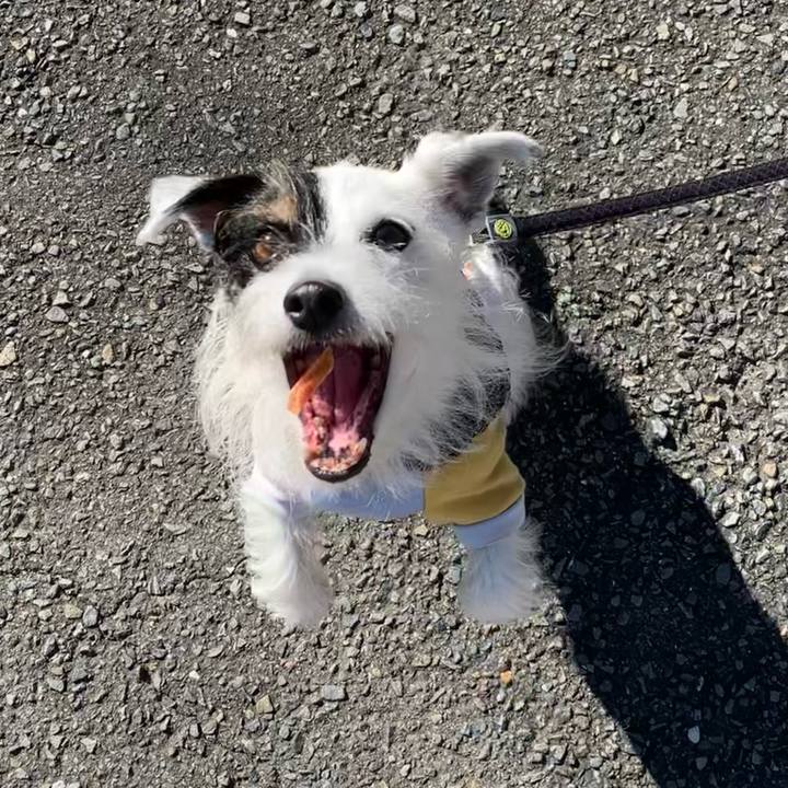 Fb6da4a2 3ba4 41fc acb2 299424830081 1666229021249