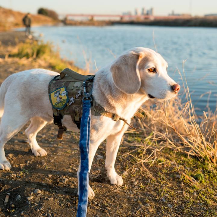 Fb6e47df 6463 4e7f 8d16 db872240e859 1767077606024