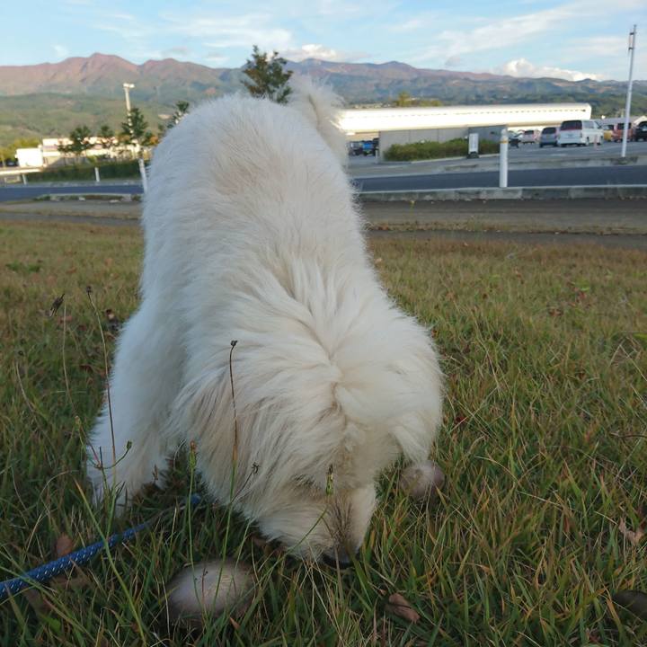 Fb6e8987 0124 47fa 9e6d d540146784c9 1572043336333