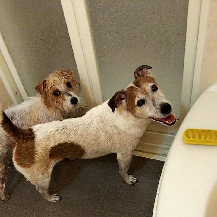 Fb6e936c 6f95 4cd6 bbb1 362550e2c896 1547298309294