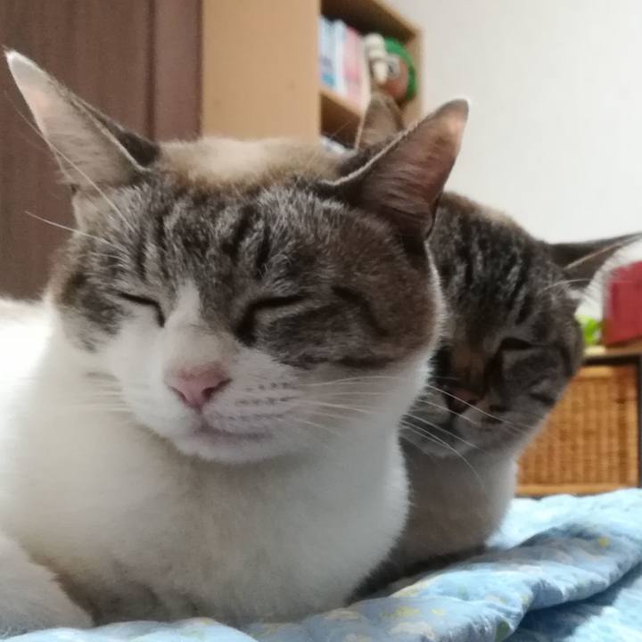 Fb6ed19b 3471 42e2 a9ec 9aefc4818fe6 1559053347210