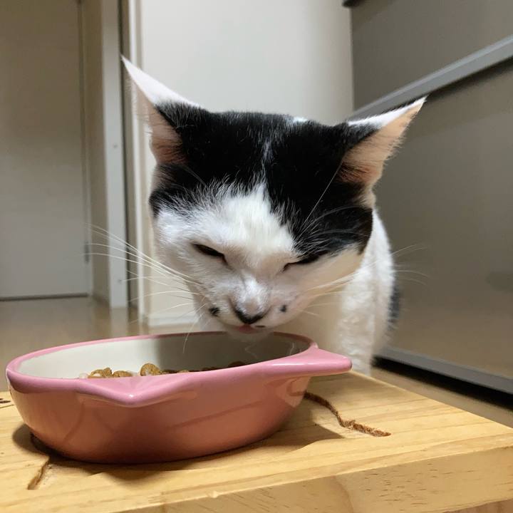 Fb6ee383 6162 4d3a 8481 c8146069348e 1757363325210