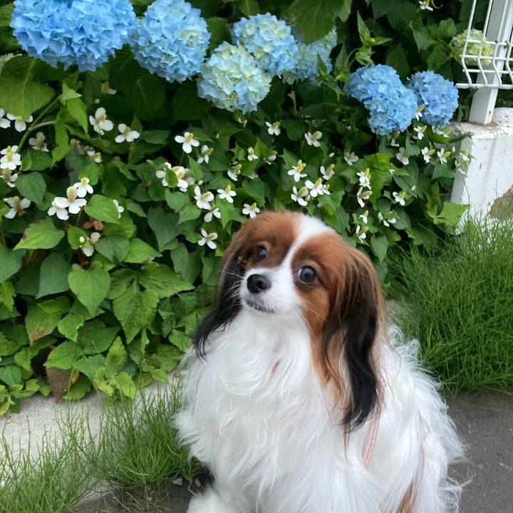 Fb6eeed3 0263 400e 8456 f61282620299 1657335853234