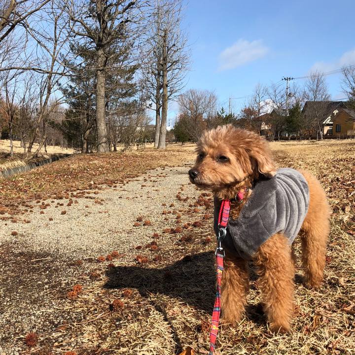 Fb6f2bc8 1543 4420 8cd5 03421021c797 1580436504701