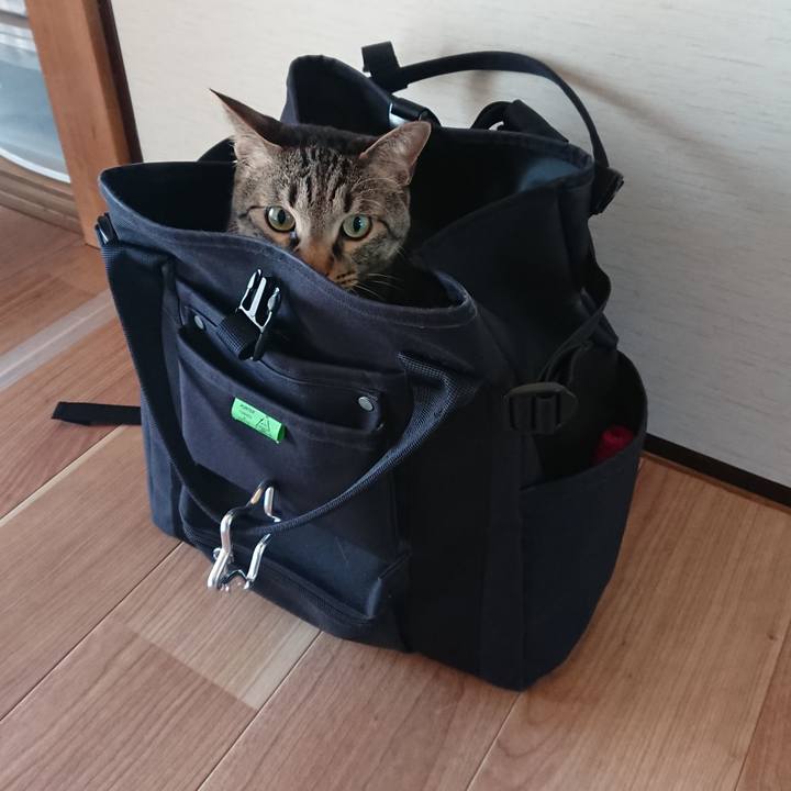 Fb6f9c3f ae22 448e 98dc 2c11de27b22f 1520034918738