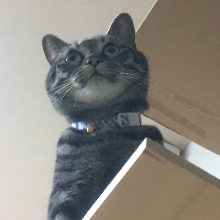 Fb6fa9b0 f2af 4e96 b446 ffa694733395 1587529785114