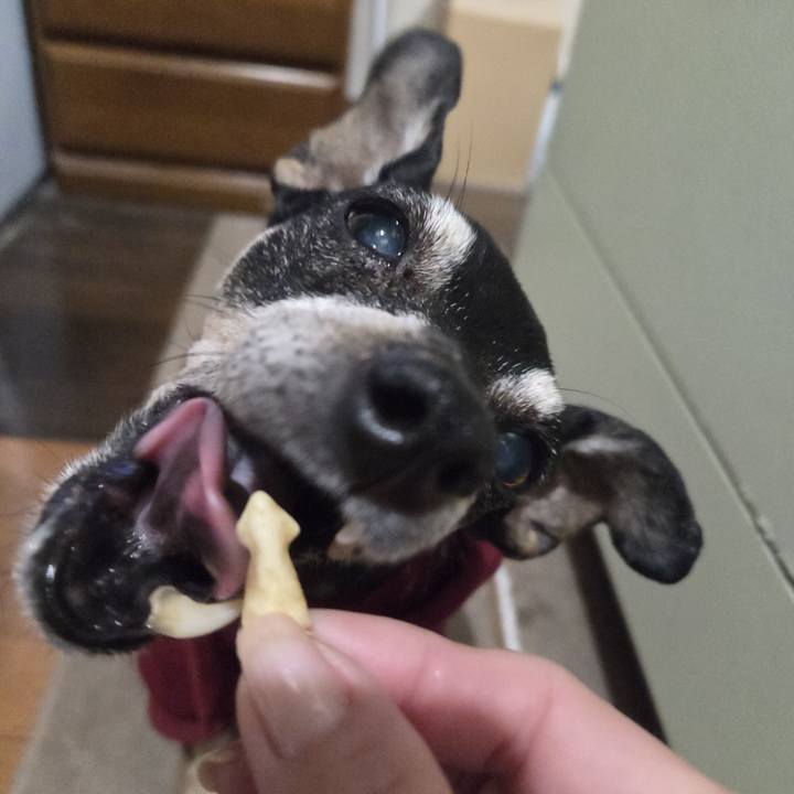 Fb6fb1b0 f3f6 4d27 999d ca760d9f5af5 1773258545491