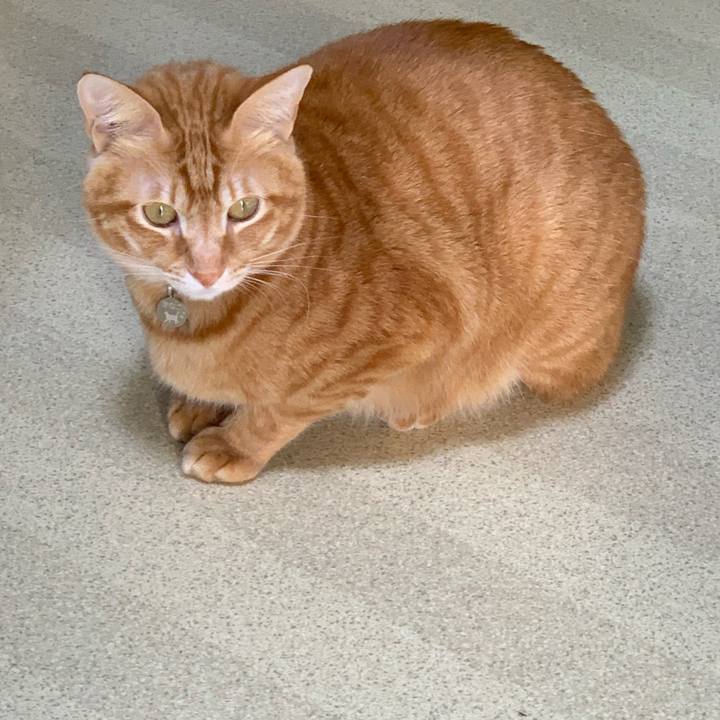 Fb6fbfec 6d71 4fd0 beef 6009e86574bf 1609155890276