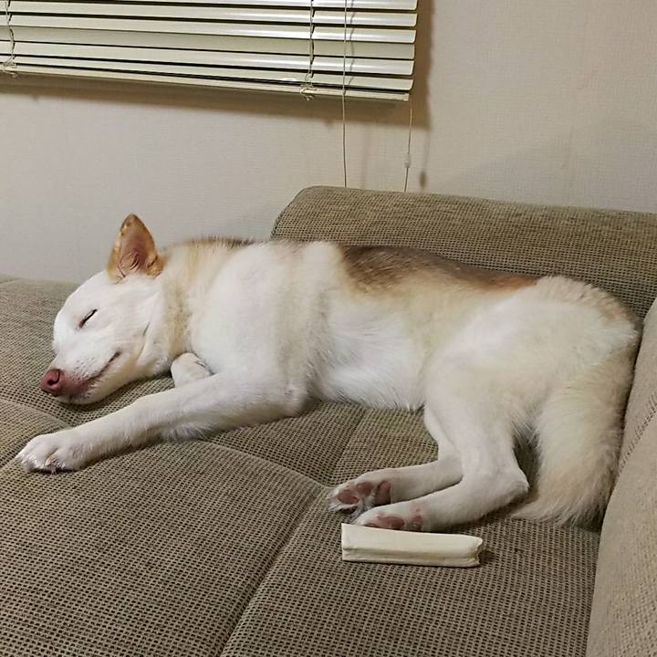 Fb6fe330 9cbc 4d0f a6eb cf9cc43d1c40 1519814705343