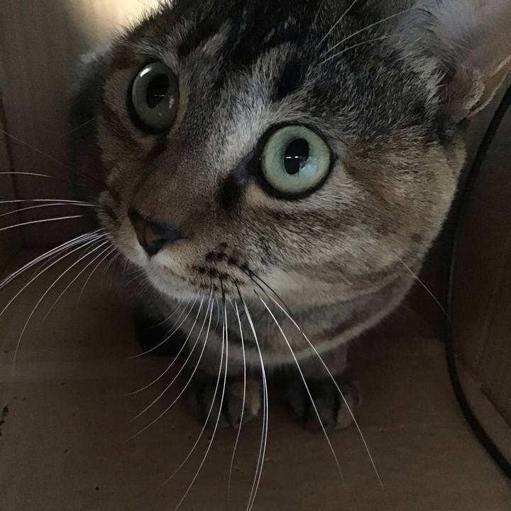 Fb700189 fb4a 4f0a 9b78 61a2295022b2 1605506415700