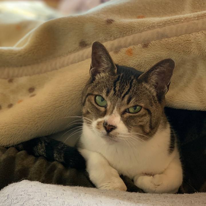 Fb7010cf 0f6b 4623 bff4 6e04bce819e4 1582247377572