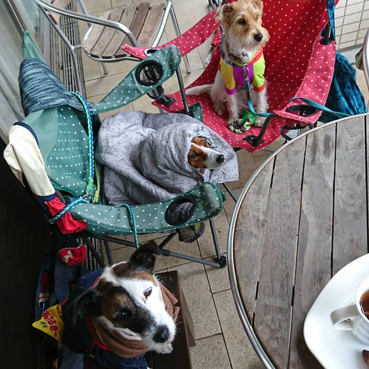 Fb701815 1350 43cb aa97 d316938c2bd0 1602237111095