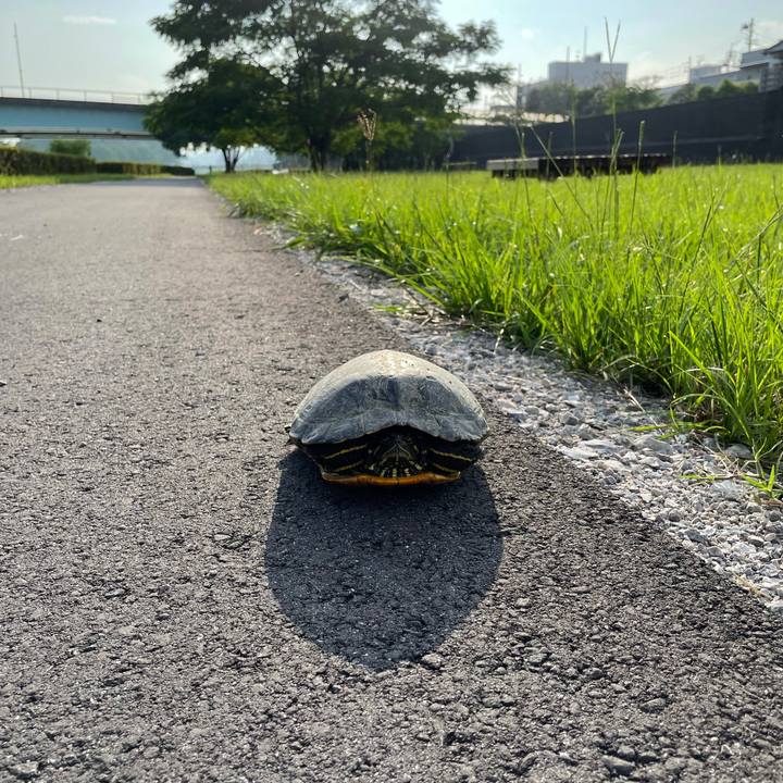 Fb7020de 3da8 4b74 bfe1 1fbe6bede5ce 1655903826050