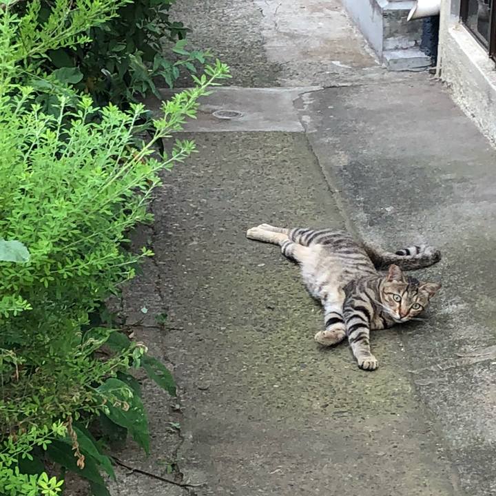 Fb702b9c 8c8e 4ee2 8dbc a44e29f66585 1531322541717