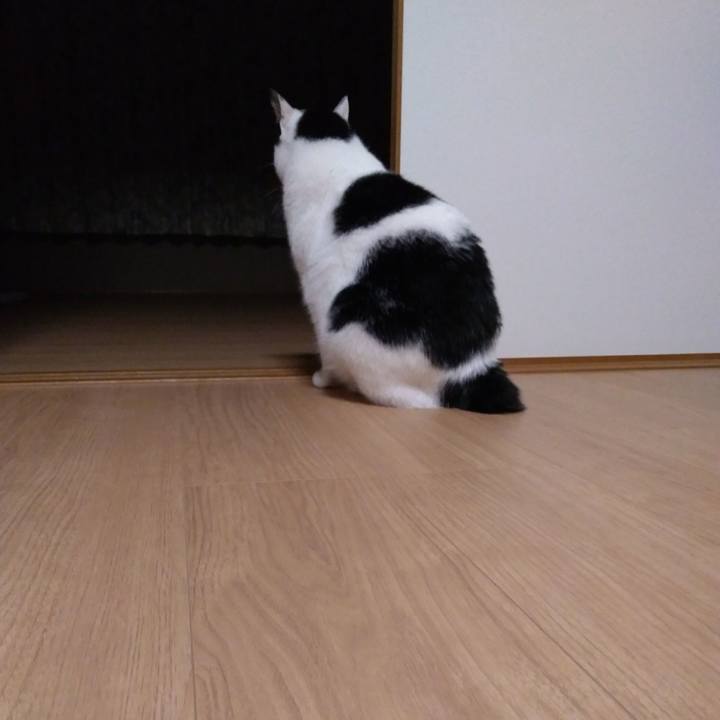 Fb70397d 47be 4735 9cae 326181936b60 1524285773004