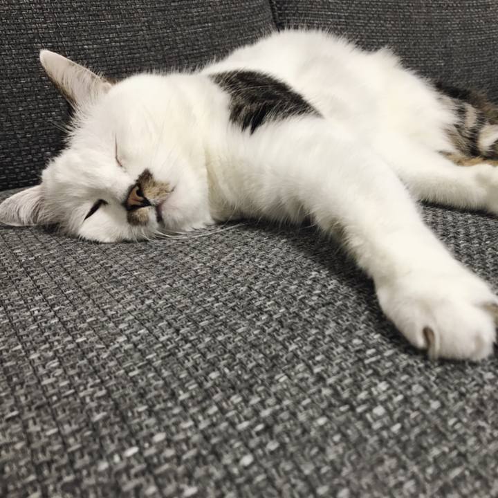 Fb7045d7 3406 4aff a388 219957e4cda6 1557126829807