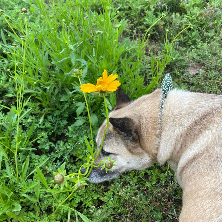 Fb705022 9701 4933 b71e de3696ebd07a 1683548172189