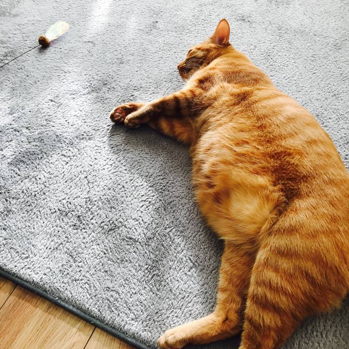 Fb705463 dd9c 4145 bd37 957e180395b3 1610776944764