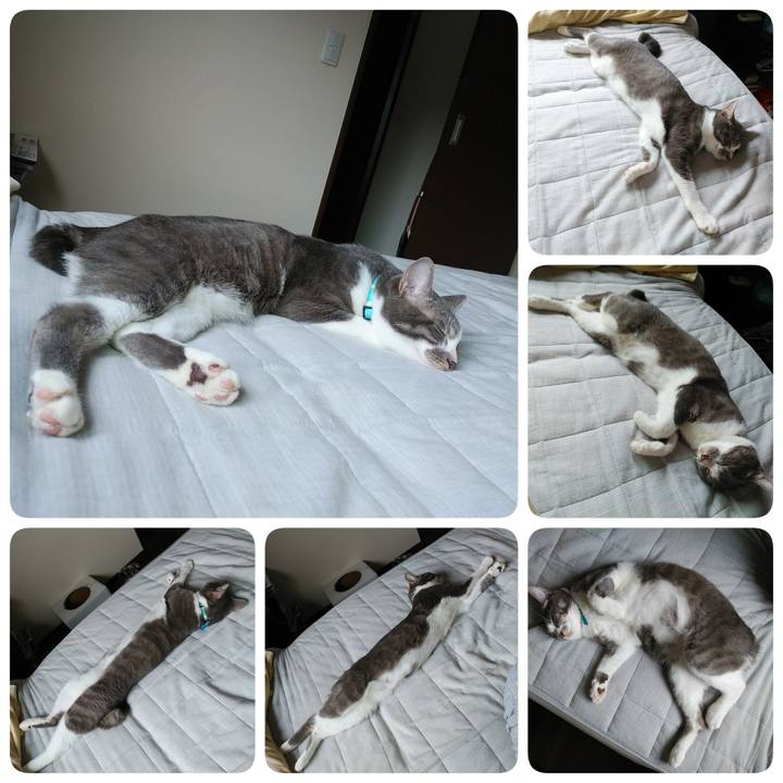 Fb706fff f74d 4d67 b029 785e8a6d42e8 1593135353654