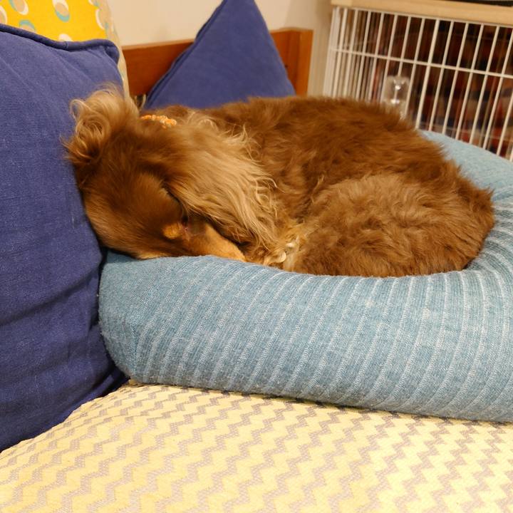 Fb709832 93bb 4fe6 805b c9aef002275a 1678023368781