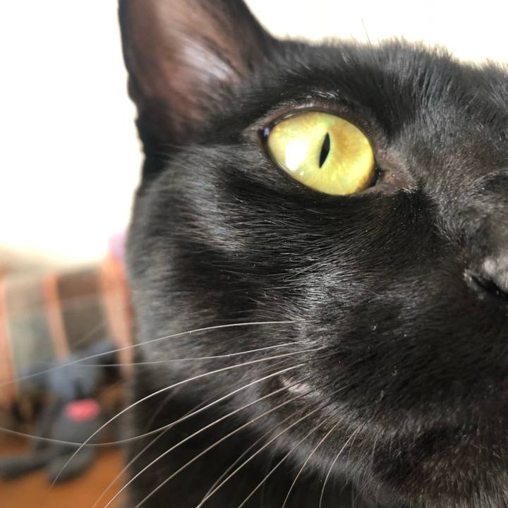 Fb70ace4 6a70 47b4 8107 82e494e1b114 1550290689606