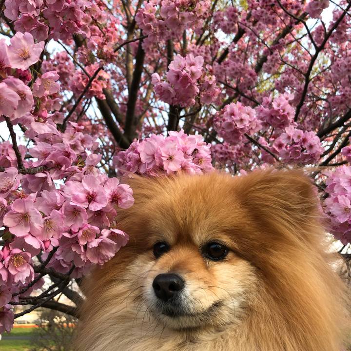 Fb70f490 56eb 4021 a29f b68245a55240 1584923418119