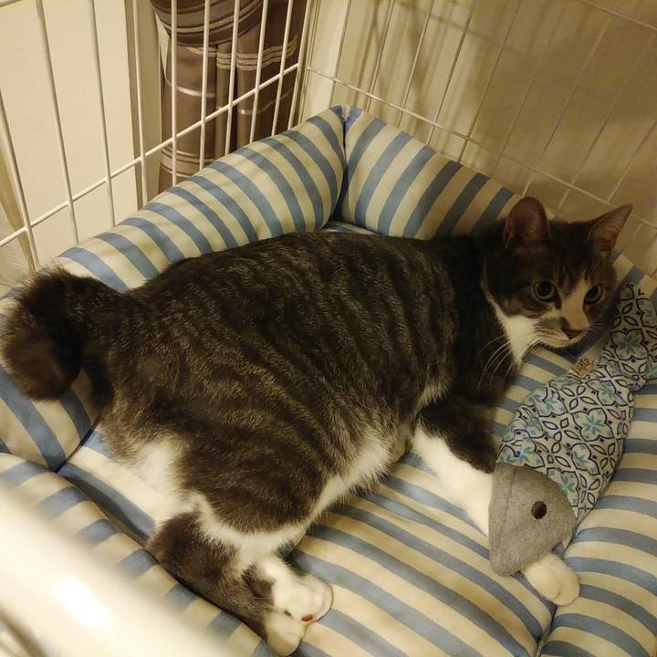 Fb7102b5 1324 4d42 88cb b47246e2842d 1585323079630