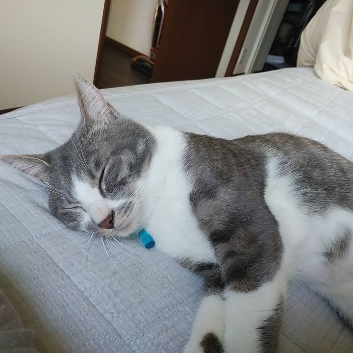 Fb7105bc 5563 4e95 a8d9 a1a298f38acd 1589675370358