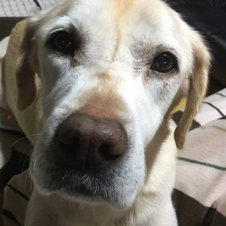 Fb711ed2 400d 4127 b523 79860ad0df73 1553223373365