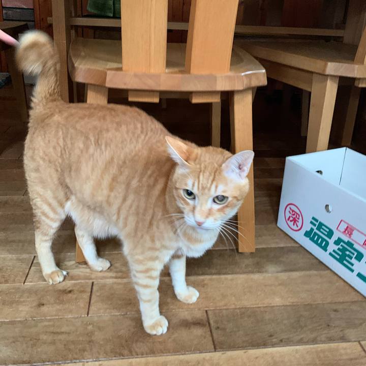 Fb715688 a3e1 452b b6c9 b1ef4f90754e 1607818346461