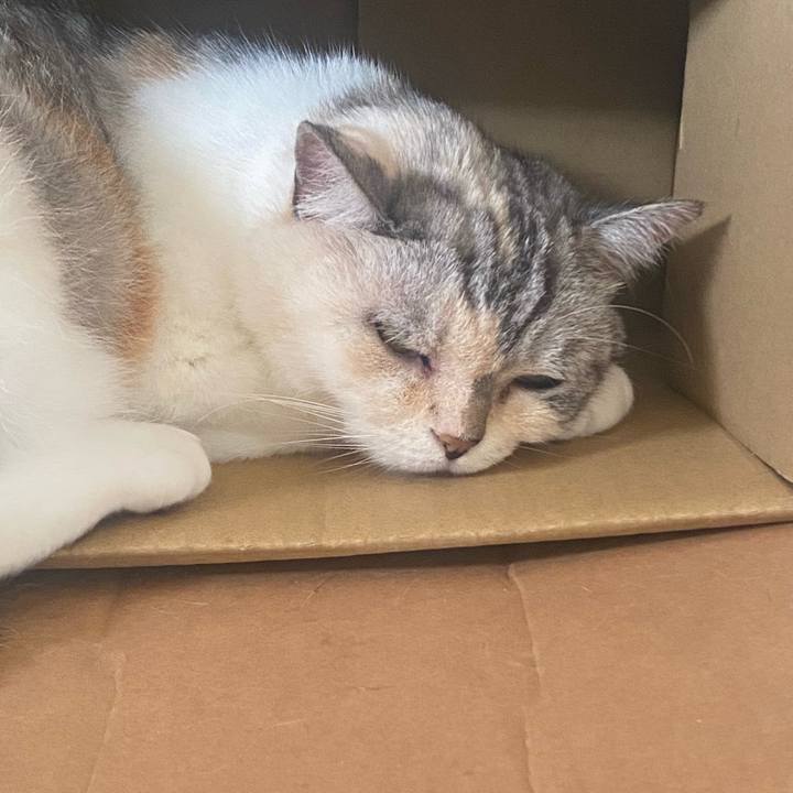 Fb716db9 7746 4fb1 9caa b06673d7ed5a 1721016324223