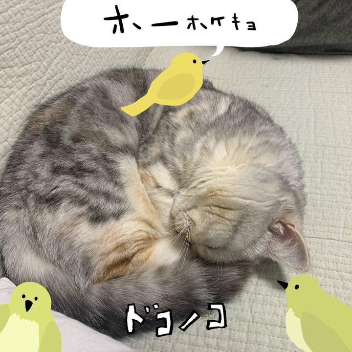 Fb719840 a509 450d 9d32 b6f1d82af783 1711463404998