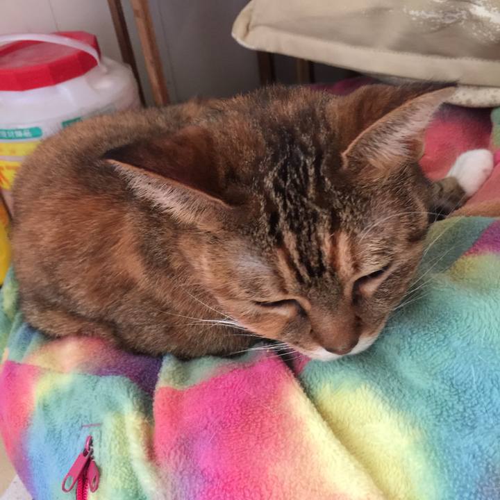 Fb719f63 89da 44e8 abd6 c443fda1f2a9 1574129311708