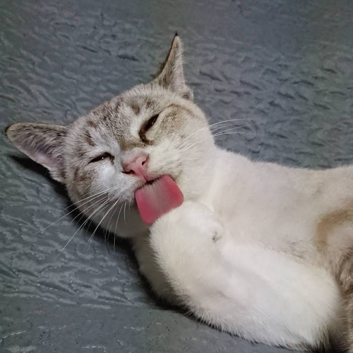 Fb71bc8f c55f 45bb b279 5696d8d757f7 1538231971821