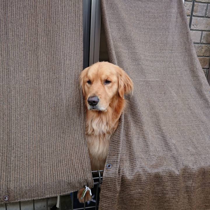 Fb71c652 d123 4e8f b89d 108a7eddc0b4 1549702513977