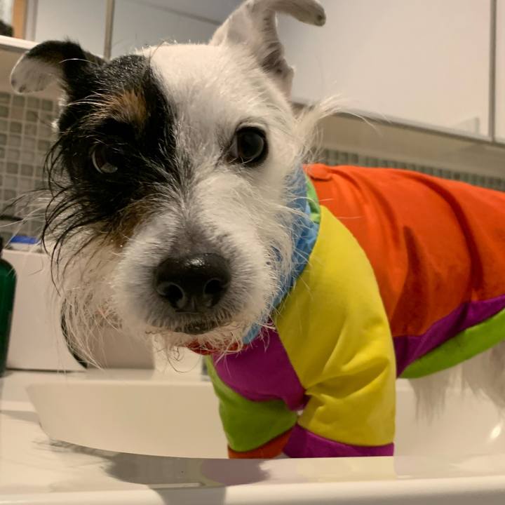 Fb71c6ed 81fe 4719 bae3 9e463e6c4e79 1711678093058