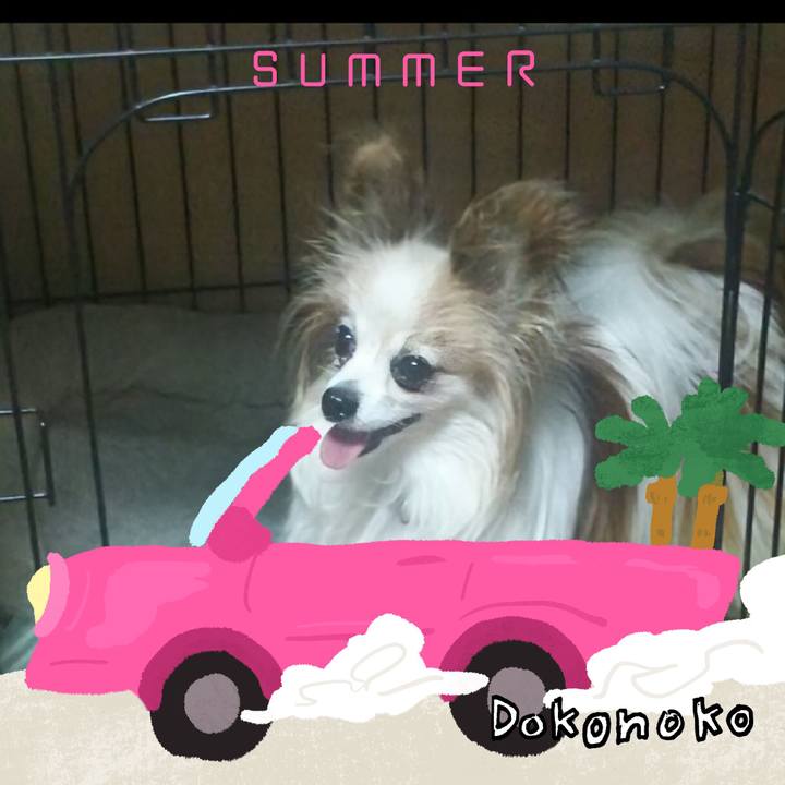 Fb71f0cd 7d81 4ee9 b005 41f942d4aeff 1783770701577