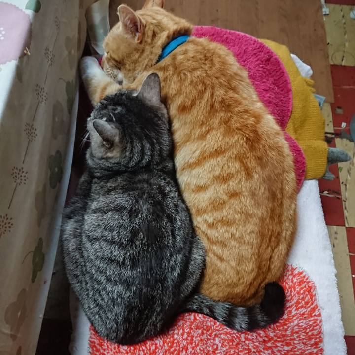 Fb71f87b b278 4833 b491 8dc27db7d2b2 1555451092571