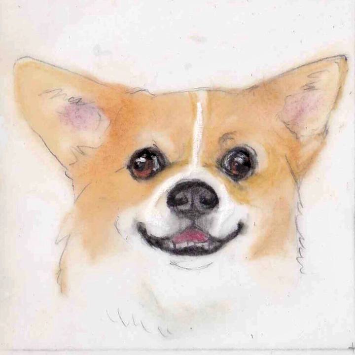 Fb71ff5e 84c4 4e8f a0f6 7177a55cb18b 1634690895106