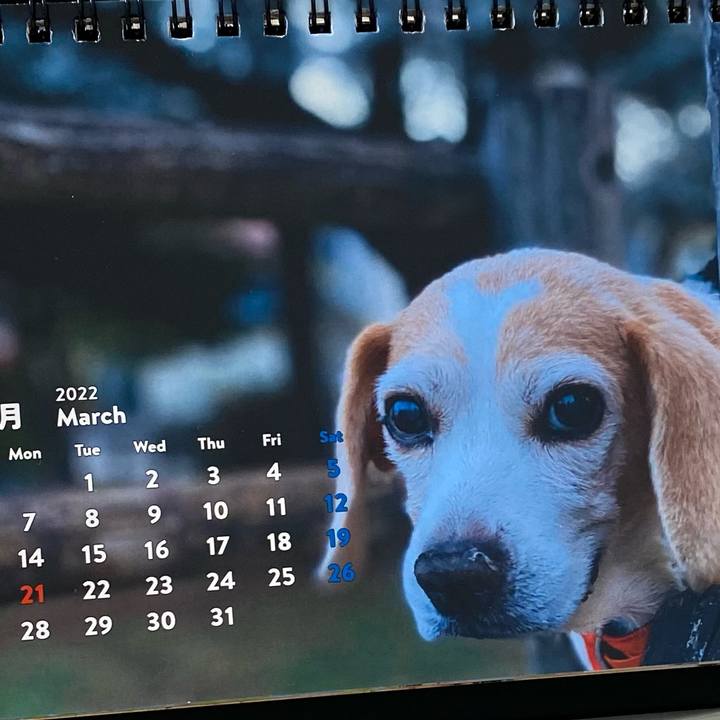 Fb721ede 713e 4ef1 9a1d 7249799012ed 1646114272480